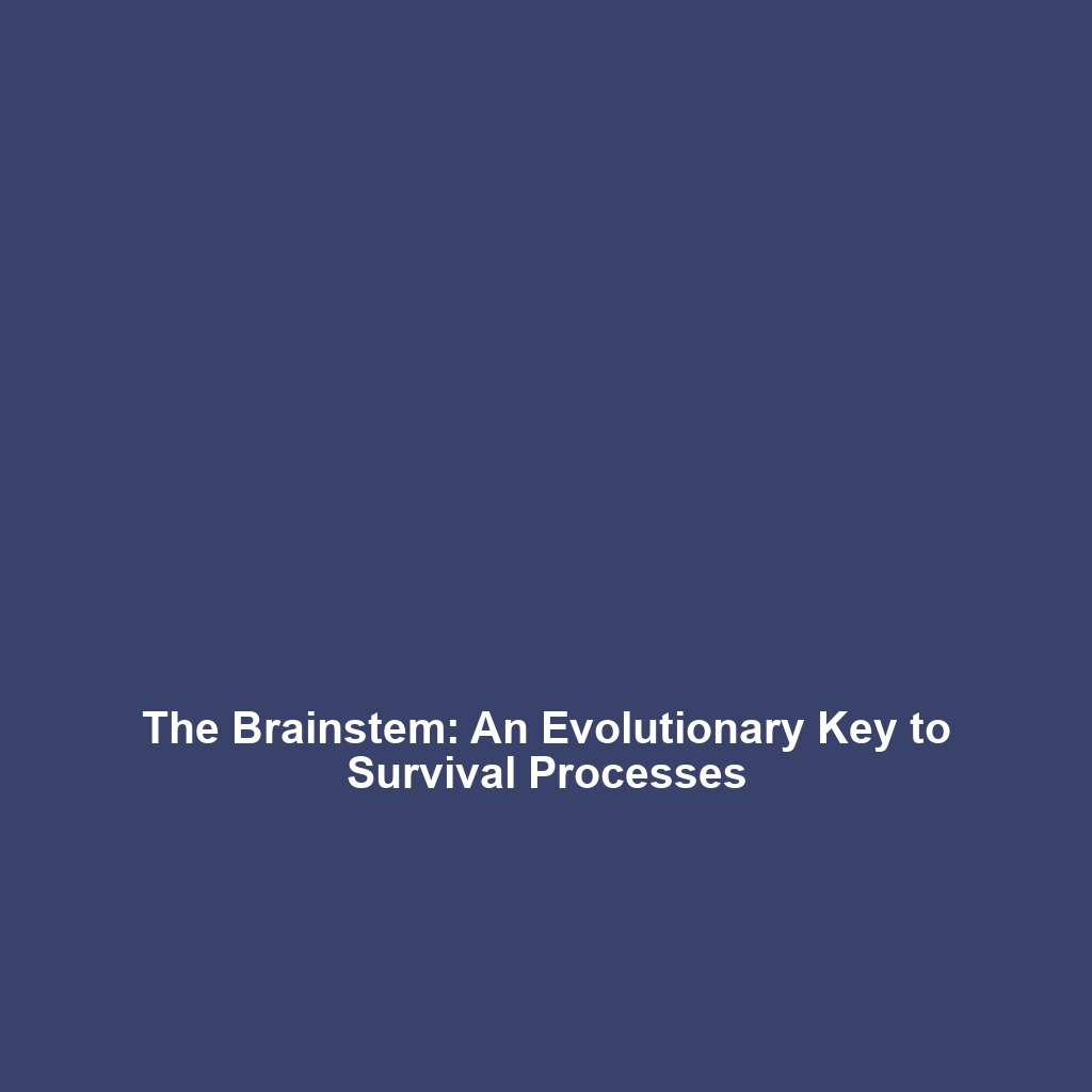 The Brainstem: An Evolutionary Key to Survival Processes