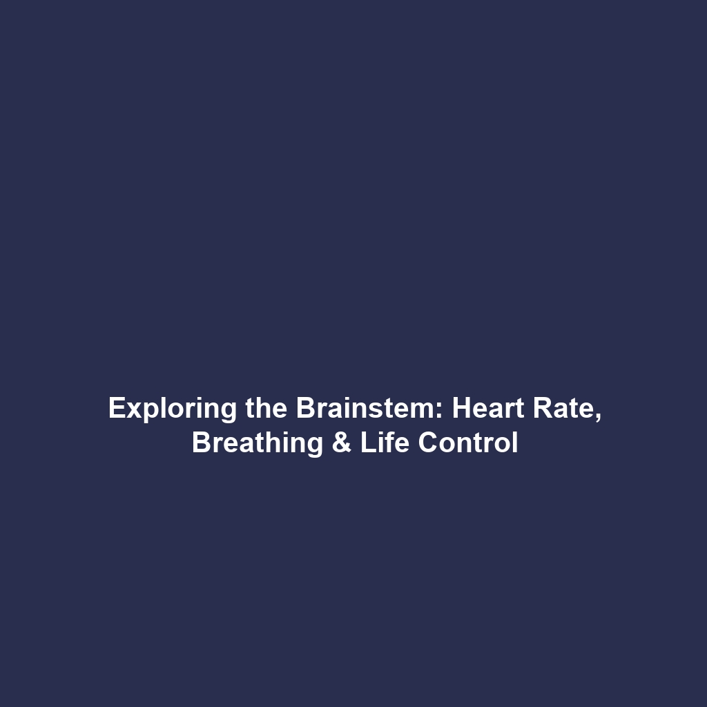 Exploring the Brainstem: Heart Rate, Breathing & Life Control