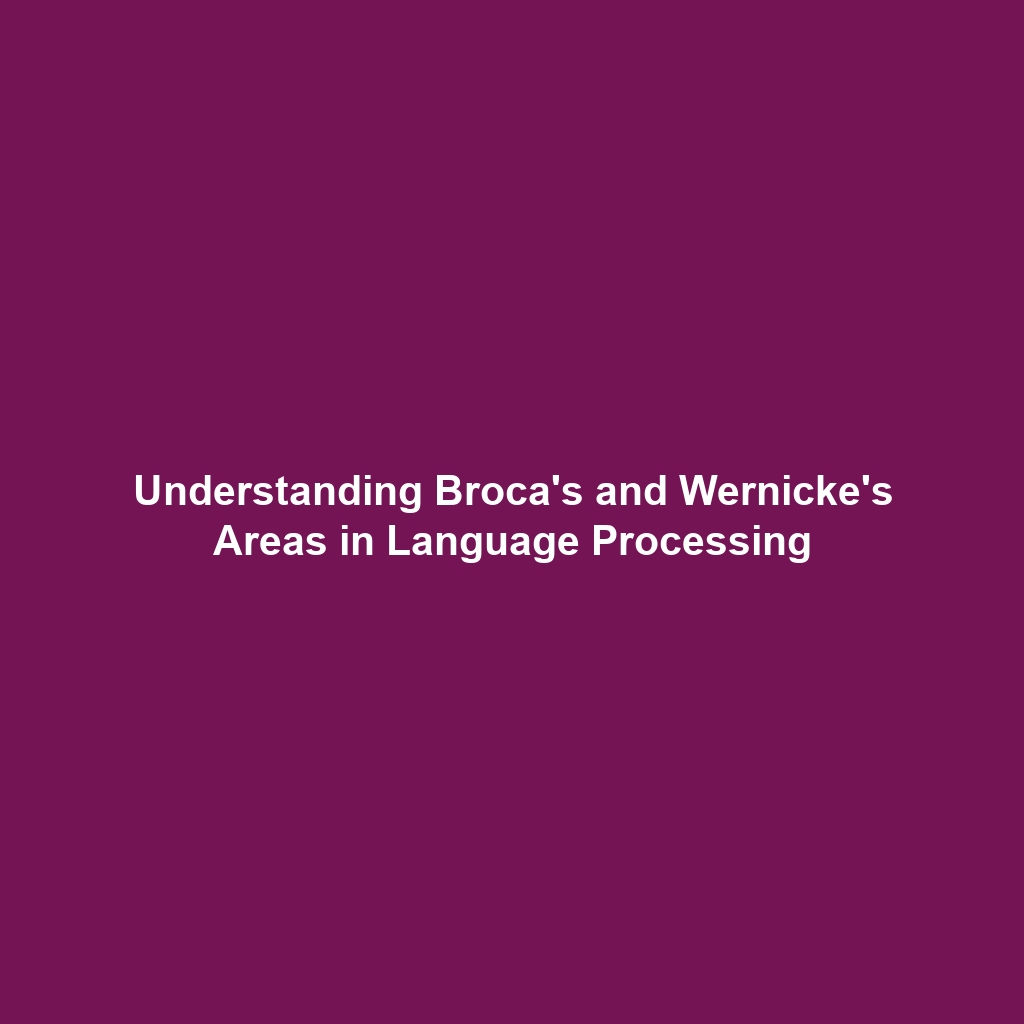 Understanding Broca’s and Wernicke’s Areas in Language Processing