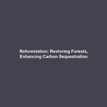 Reforestation: Restoring Forests, Enhancing Carbon Sequestration