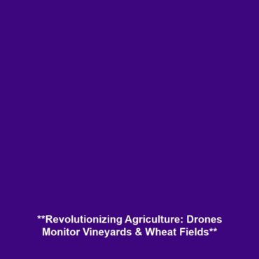 **Revolutionizing Agriculture: Drones Monitor Vineyards & Wheat Fields**