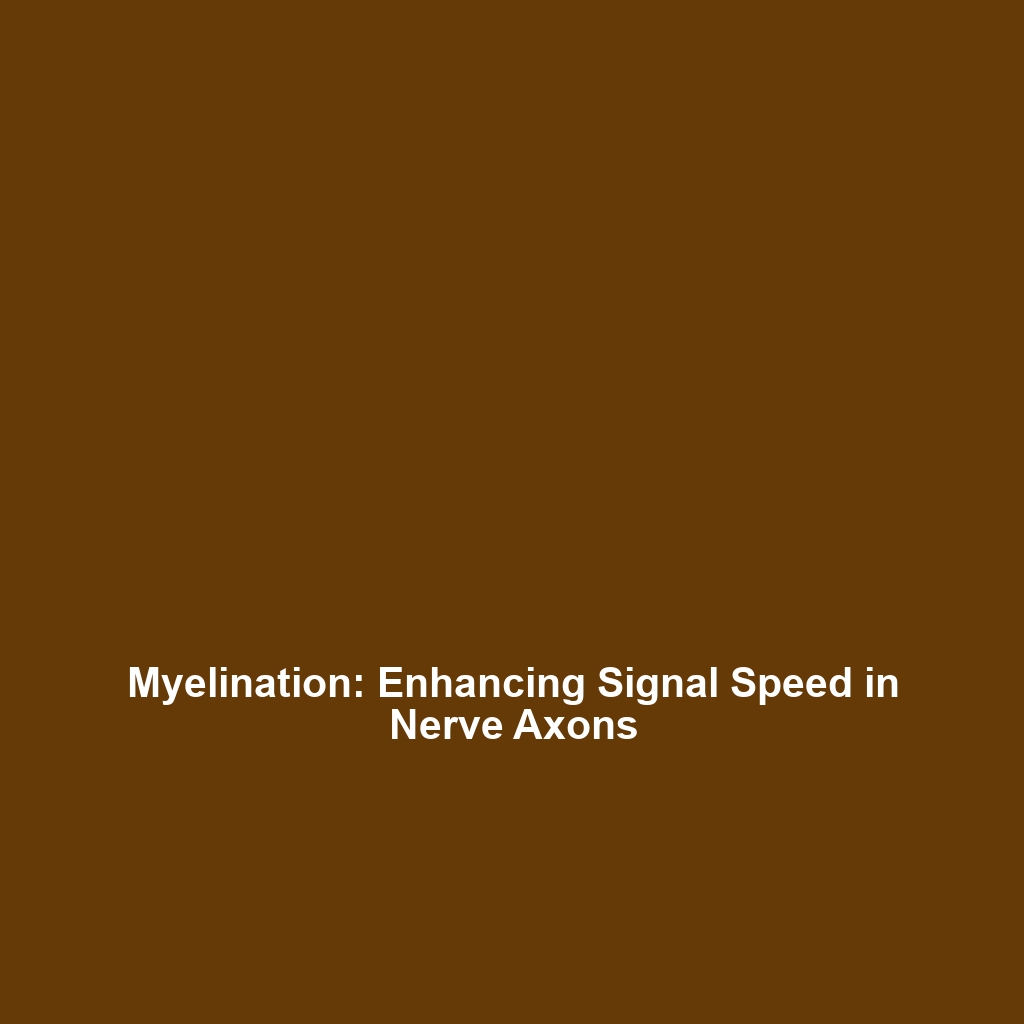 Understanding Myelination and Synaptic Pruning in Biomechanics