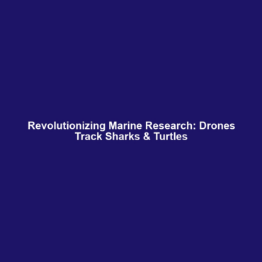 Revolutionizing Marine Research: Drones Track Sharks & Turtles