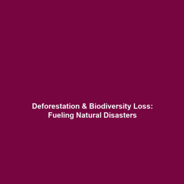 Deforestation & Biodiversity Loss: Fueling Natural Disasters