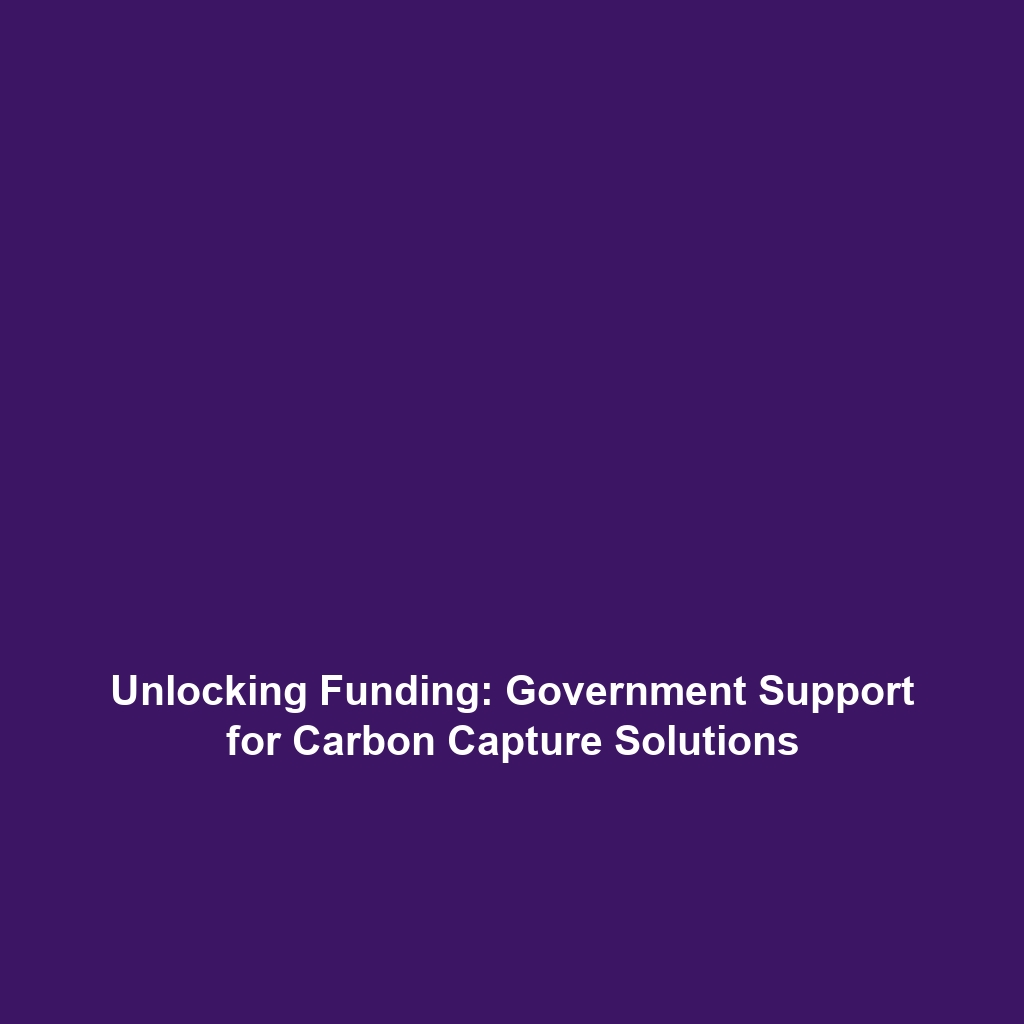 Unlocking Funding: Government Support for Carbon Capture Solutions