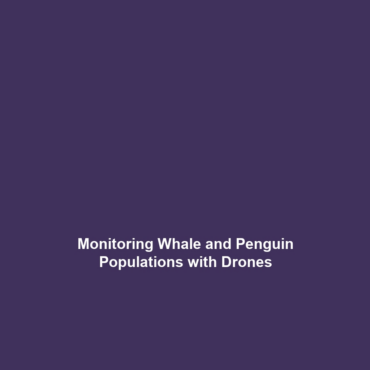 Monitoring Whale and Penguin Populations with Drones