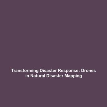 Transforming Disaster Response: Drones in Natural Disaster Mapping