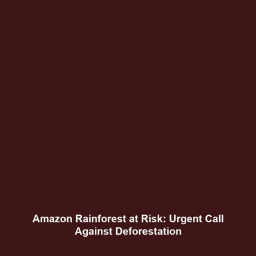 Amazon Rainforest at Risk: Urgent Call Against Deforestation