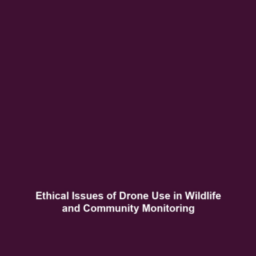 Ethical Issues of Drone Use in Wildlife and Community Monitoring