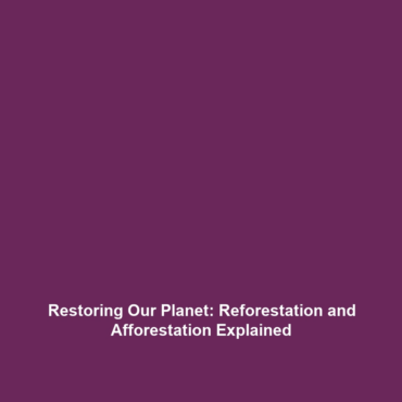 Restoring Our Planet: Reforestation and Afforestation Explained