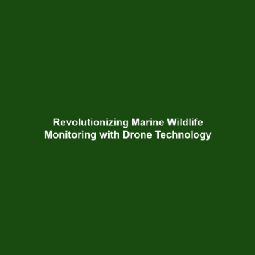 Revolutionizing Marine Wildlife Monitoring with Drone Technology