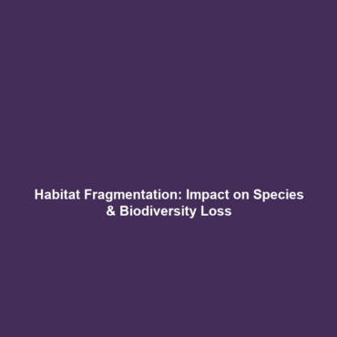 Habitat Fragmentation: Impact on Species & Biodiversity Loss