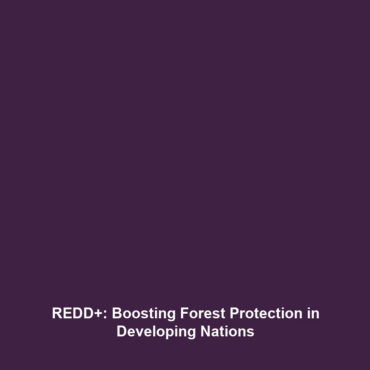 REDD+: Boosting Forest Protection in Developing Nations