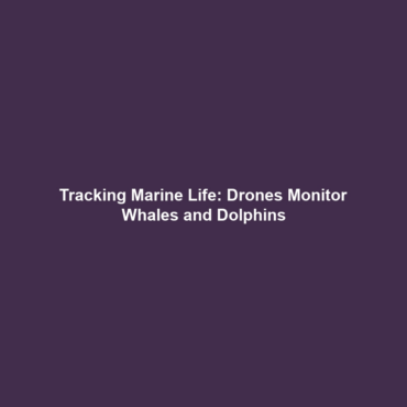 Tracking Marine Life: Drones Monitor Whales and Dolphins