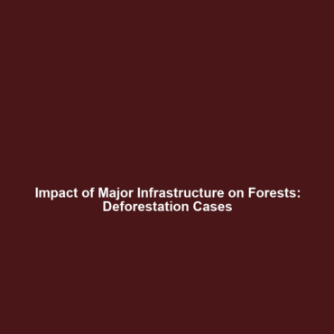 Impact of Major Infrastructure on Forests: Deforestation Cases