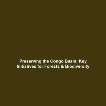 Preserving the Congo Basin: Key Initiatives for Forests & Biodiversity