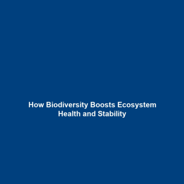 How Biodiversity Boosts Ecosystem Health and Stability