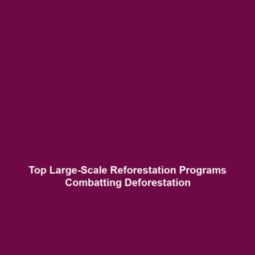 Top Large-Scale Reforestation Programs Combatting Deforestation