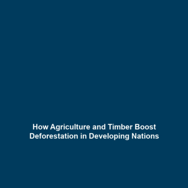 How Agriculture and Timber Boost Deforestation in Developing Nations