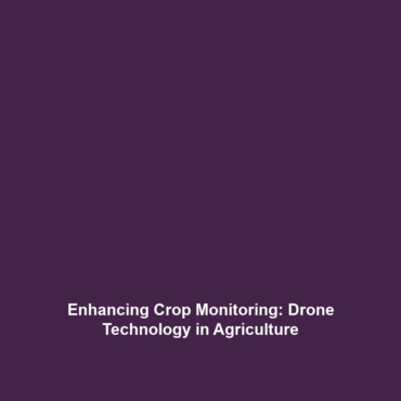 Enhancing Crop Monitoring: Drone Technology in Agriculture