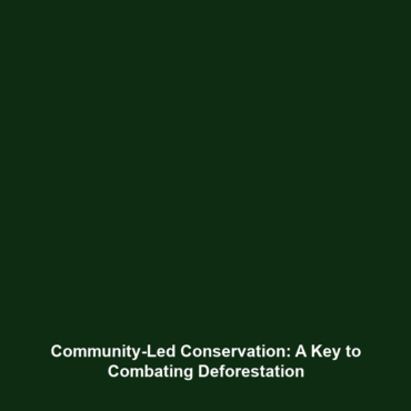 Community-Led Conservation: A Key to Combating Deforestation