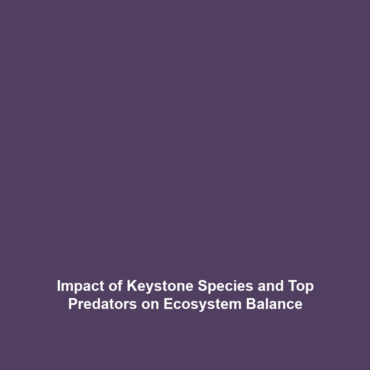 Impact of Keystone Species and Top Predators on Ecosystem Balance