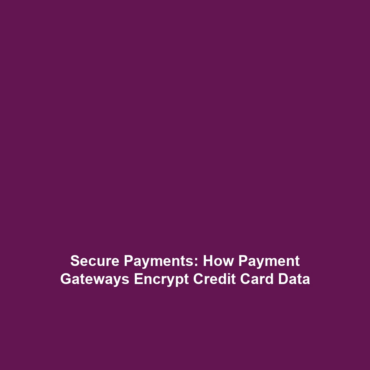 Secure Payments: How Payment Gateways Encrypt Credit Card Data