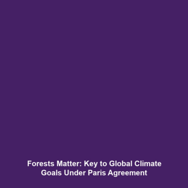 Forests Matter: Key to Global Climate Goals Under Paris Agreement