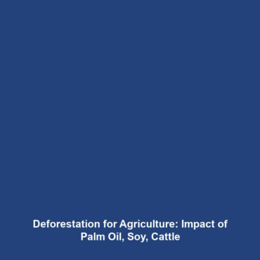 Deforestation for Agriculture: Impact of Palm Oil, Soy, Cattle