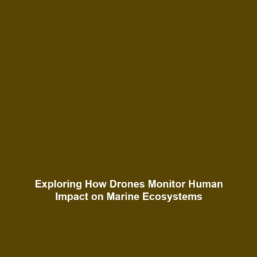 Exploring How Drones Monitor Human Impact on Marine Ecosystems