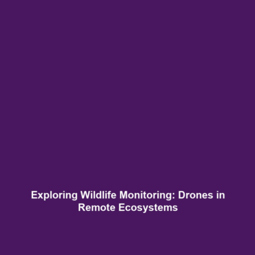 Exploring Wildlife Monitoring: Drones in Remote Ecosystems