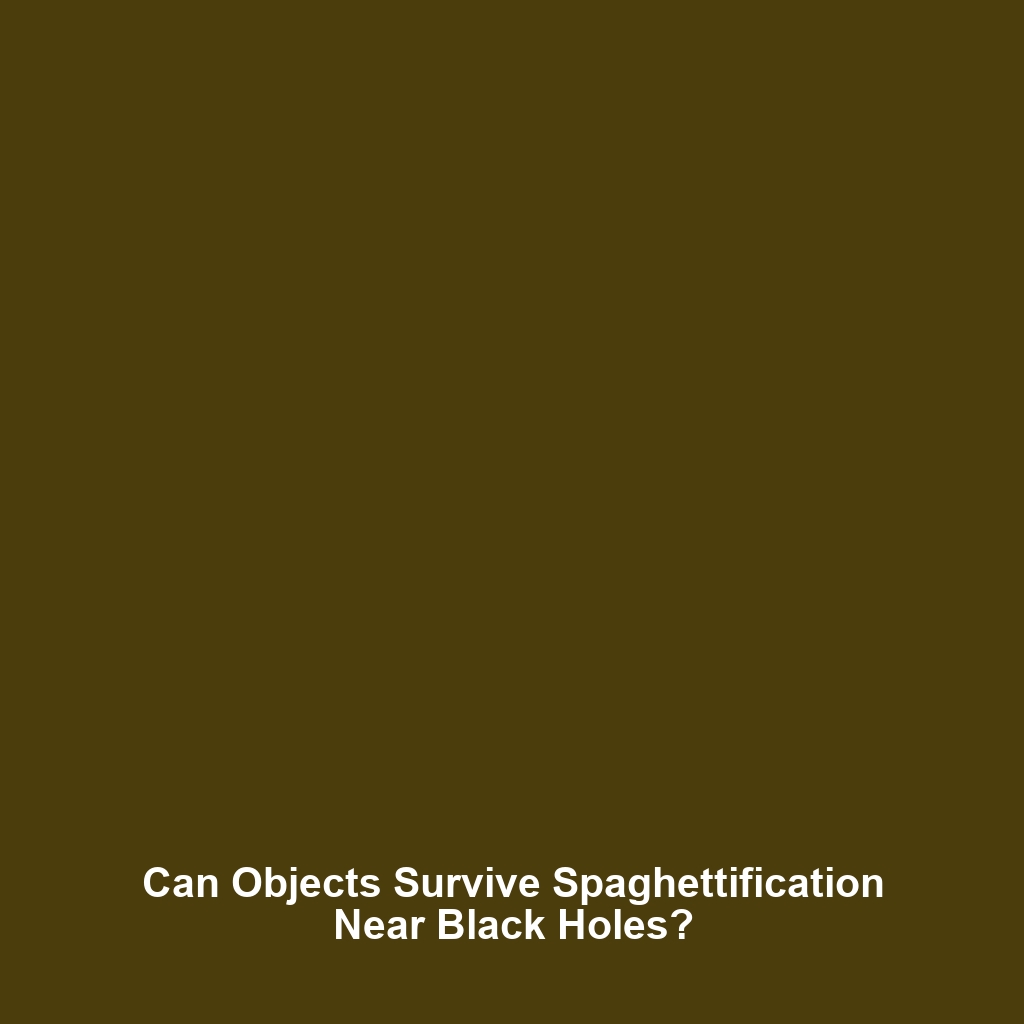 Can Objects Survive Spaghettification Near Black Holes?