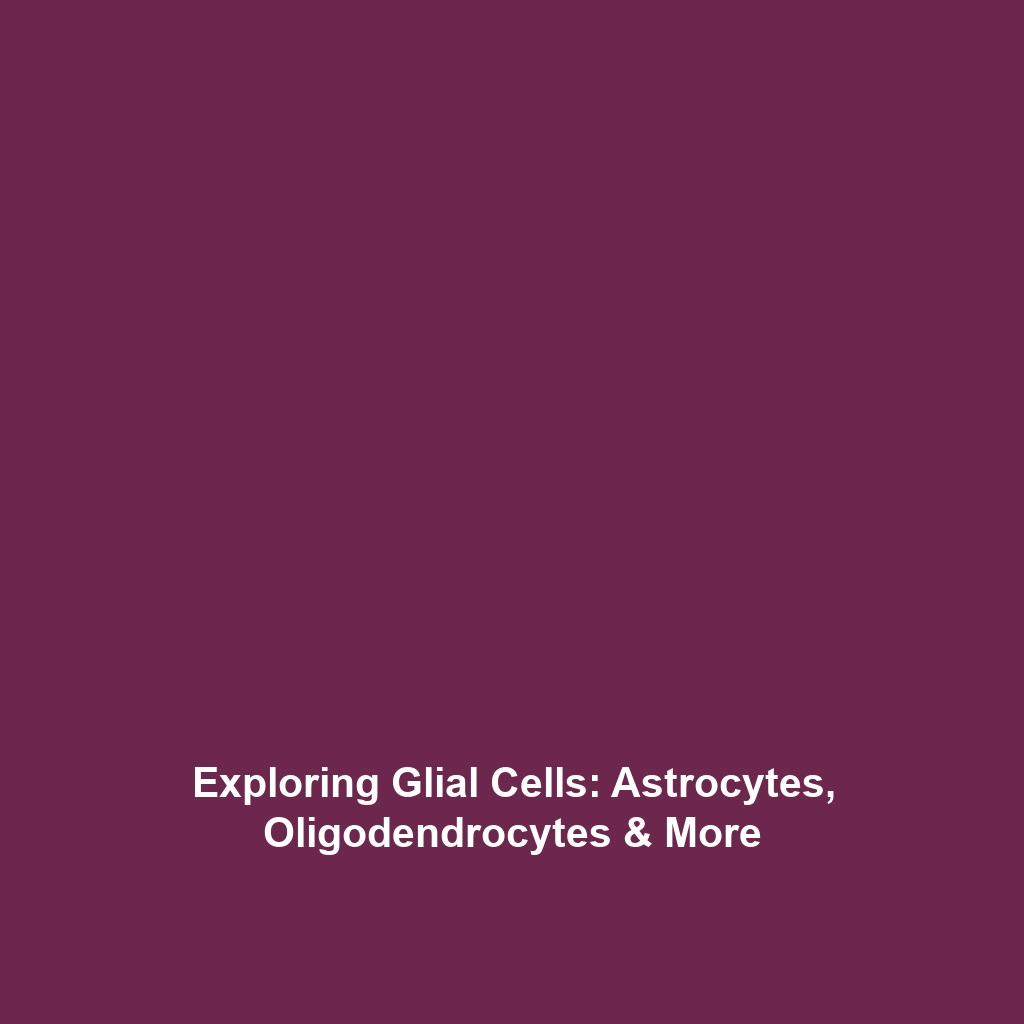 Exploring Glial Cells: Astrocytes, Oligodendrocytes & More