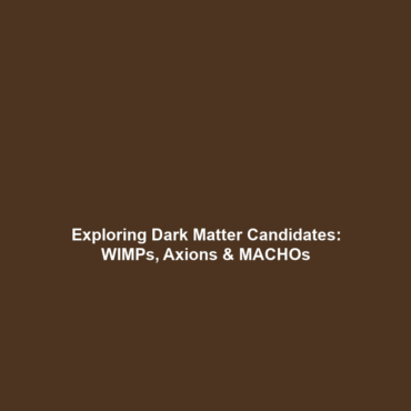 Exploring Dark Matter Candidates: WIMPs, Axions & MACHOs