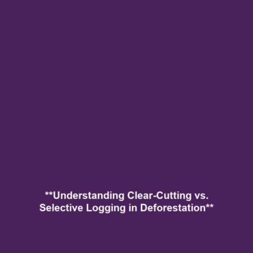 **Understanding Clear-Cutting vs. Selective Logging in Deforestation**