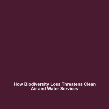 How Biodiversity Loss Threatens Clean Air and Water Services