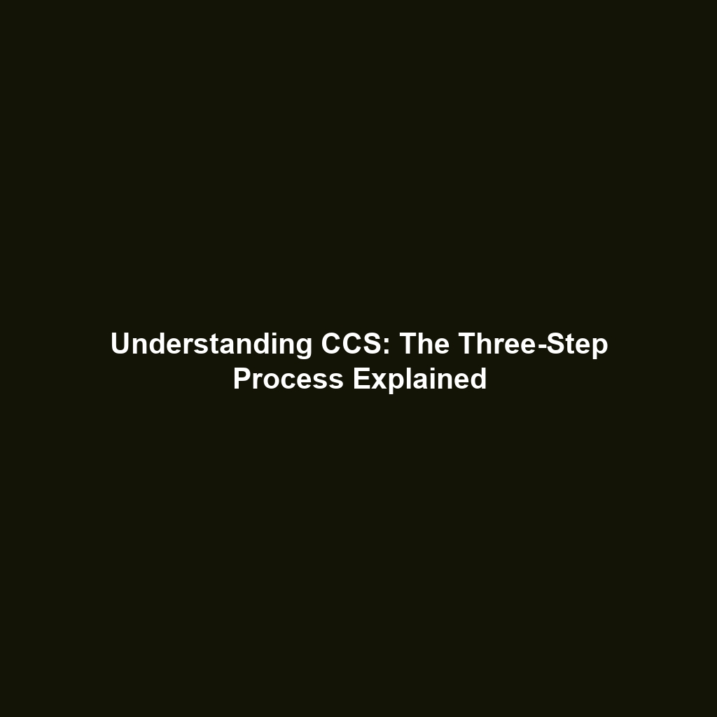 Understanding CCS: The Three-Step Process Explained