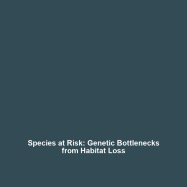 Species at Risk: Genetic Bottlenecks from Habitat Loss