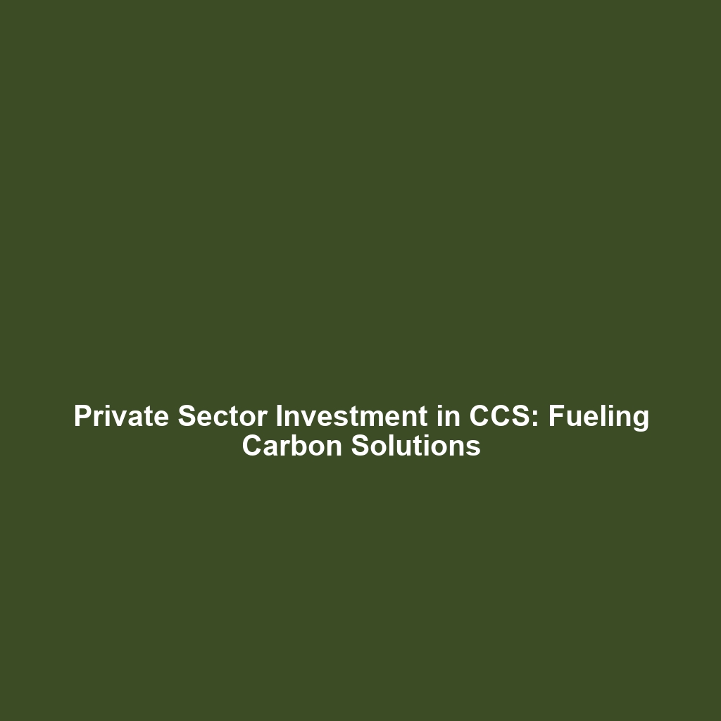 Private Sector Investment in CCS: Fueling Carbon Solutions