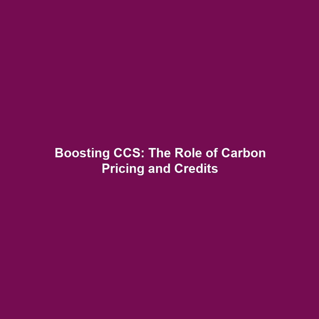 Boosting CCS: The Role of Carbon Pricing and Credits