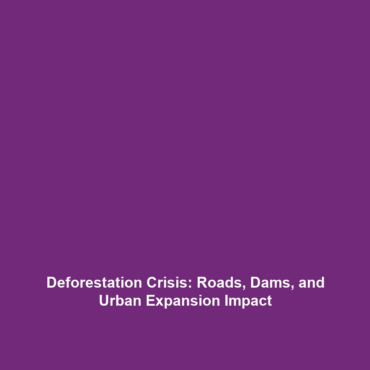 Deforestation Crisis: Roads, Dams, and Urban Expansion Impact