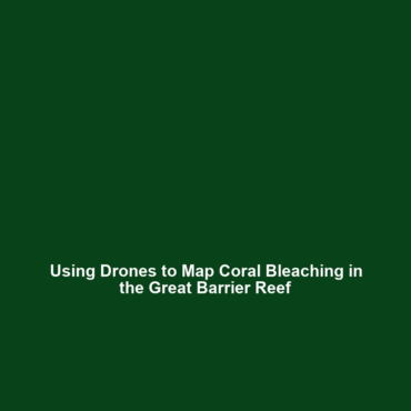 Using Drones to Map Coral Bleaching in the Great Barrier Reef