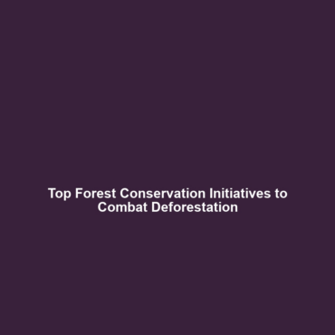 Top Forest Conservation Initiatives to Combat Deforestation