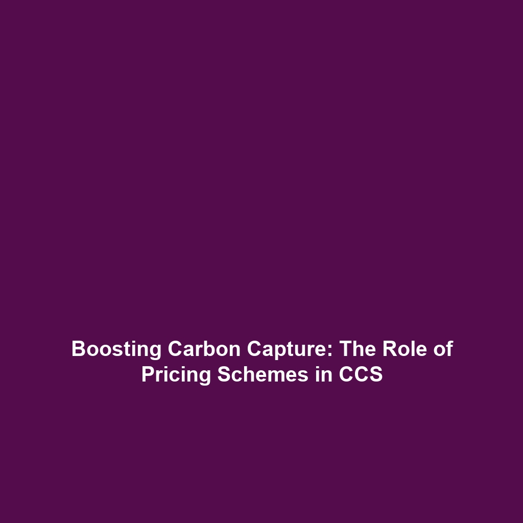 Boosting Carbon Capture: The Role of Pricing Schemes in CCS