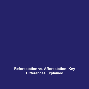 Reforestation vs. Afforestation: Key Differences Explained