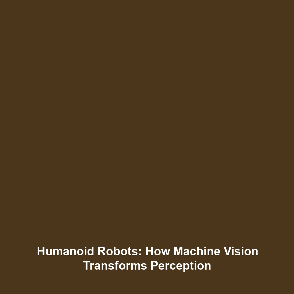 Humanoid Robots: How Machine Vision Transforms Perception