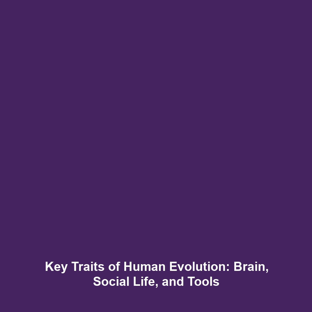 Key Traits of Human Evolution: Brain, Social Life, and Tools